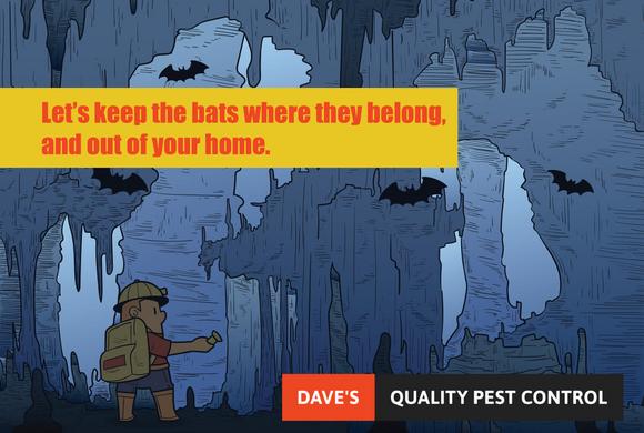 Let's keep bats where they belong, and out of your home