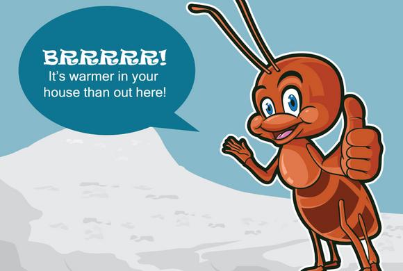 It's warmer in your house than our here