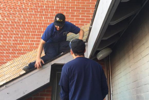 Dave's Quality Pest Control Peterborough