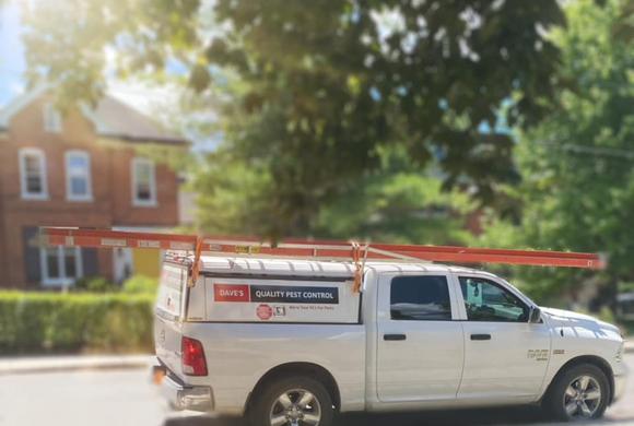 Dave's Quality Pest Control - Kawartha Lakes Truck